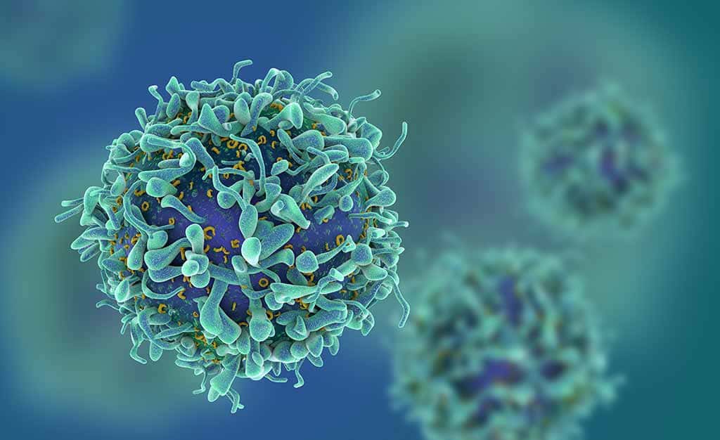 Ученые обнаружили белок, который помогает клеткам ВИЧ скрываться от иммунитета. Это поможет продвинуться в излечении организма от ВИЧ.